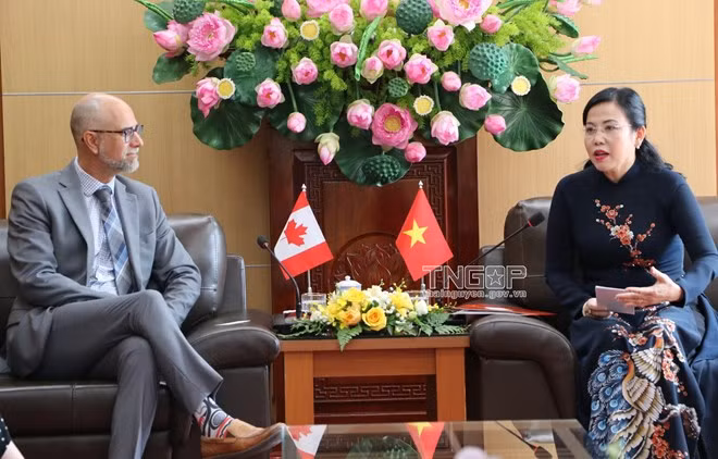 Canada promotes cooperation, investment in Thai Nguyen province ảnh 1