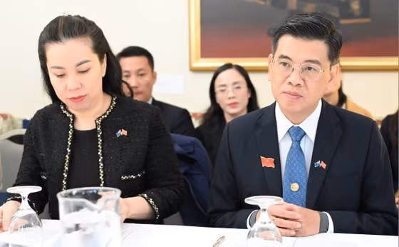 HCM City eyes further cooperation with localities of Australia, New Zealand ảnh 1