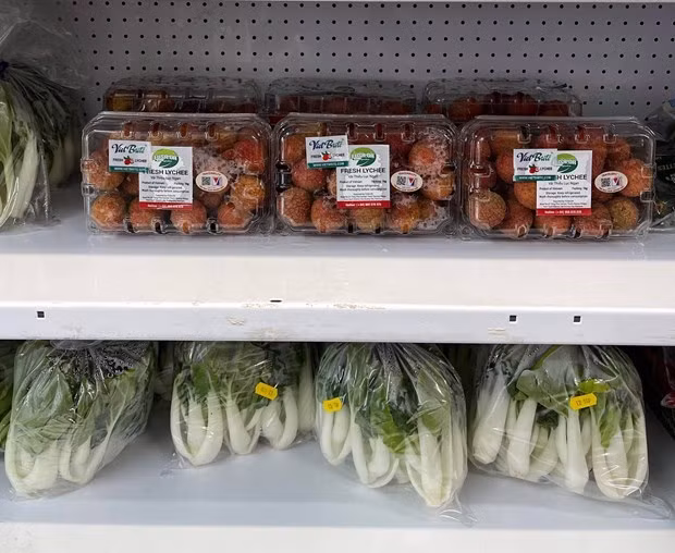 UK - a promising market for Vietnamese vegetable and fruits: webinar ảnh 2