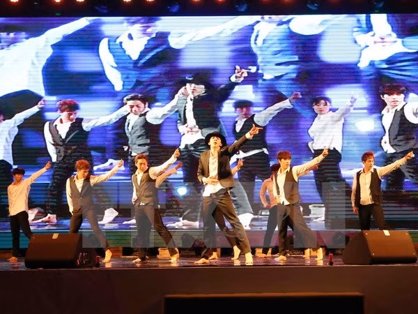 Vietnam-RoK culture festival opens in Da Nang ảnh 1