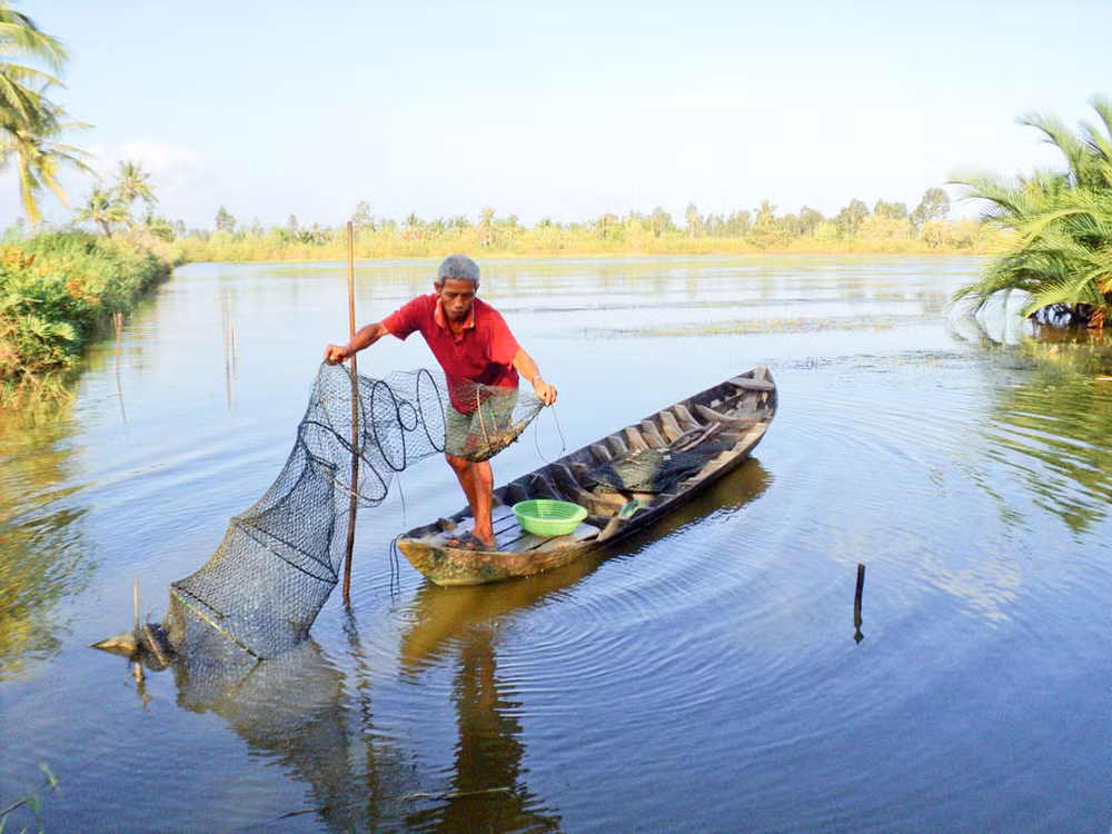 Eco-shrimp farming – model for sustainable aquaculture development ảnh 1 Eco-shrimp farming – model for sustainable aquaculture development ảnh 1