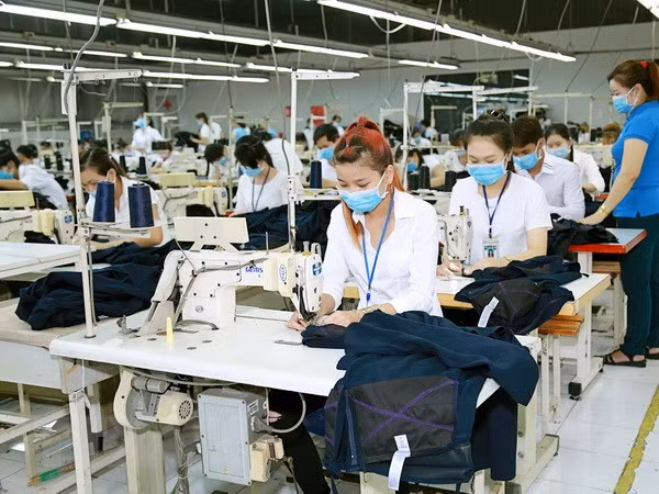 Garment-textile sector raises export target to 35 billion USD ảnh 1 Garment-textile sector raises export target to 35 billion USD ảnh 1