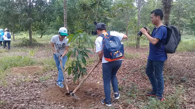 New plants ensures biodiversity in Dong Nai Biosphere Reserve ảnh 1