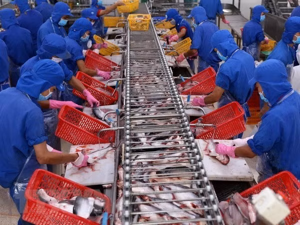 VASEP urges strict quality control of tra fish exported to China ảnh 1