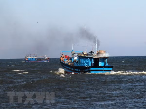Vietnam joins FAO’s Agreement on Port State Measures ảnh 1