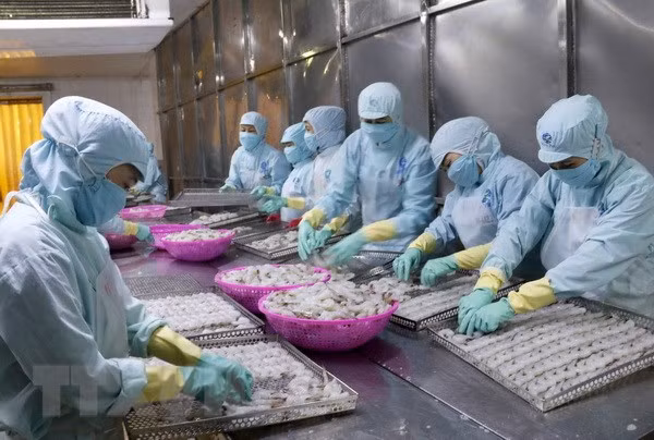 China’s reduced import tax boosts Vietnam’s tra fish export ảnh 1 China’s reduced import tax boosts Vietnam’s tra fish export ảnh 1