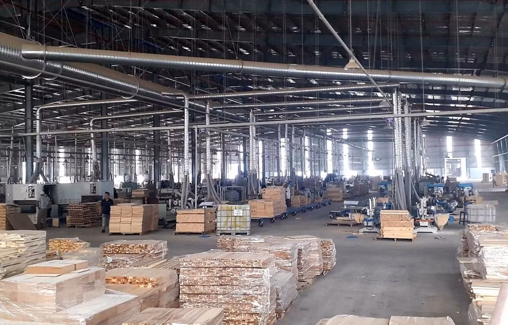 Vietnam striving to enhance transparency in wood sector ảnh 1