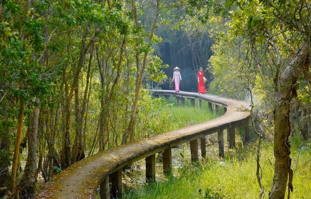 World Environment Day: Vietnam preserving Mekong Delta’s ecosystem ảnh 2