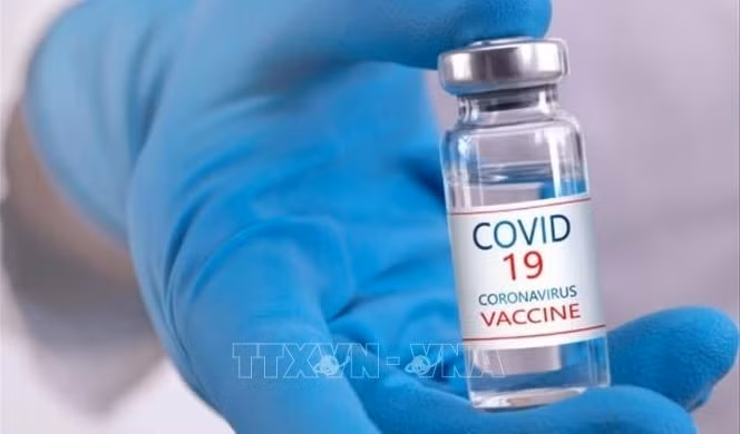 Vietnam to have over 120 million COVID-19 vaccine doses in 2021 ảnh 1