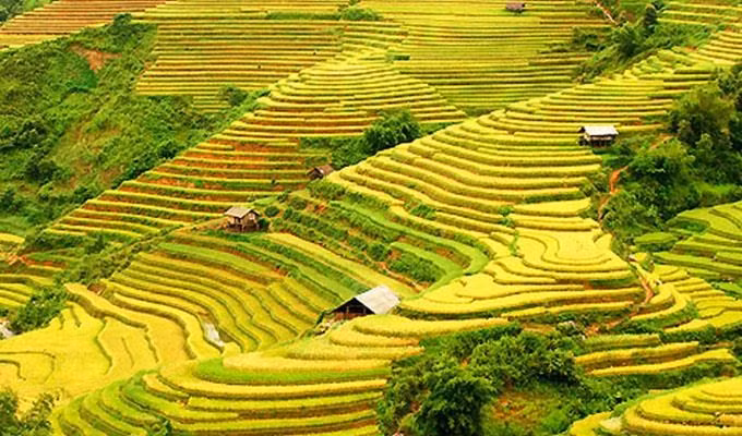 Ha Giang to host culture week highlighting terraced rice fields ảnh 3