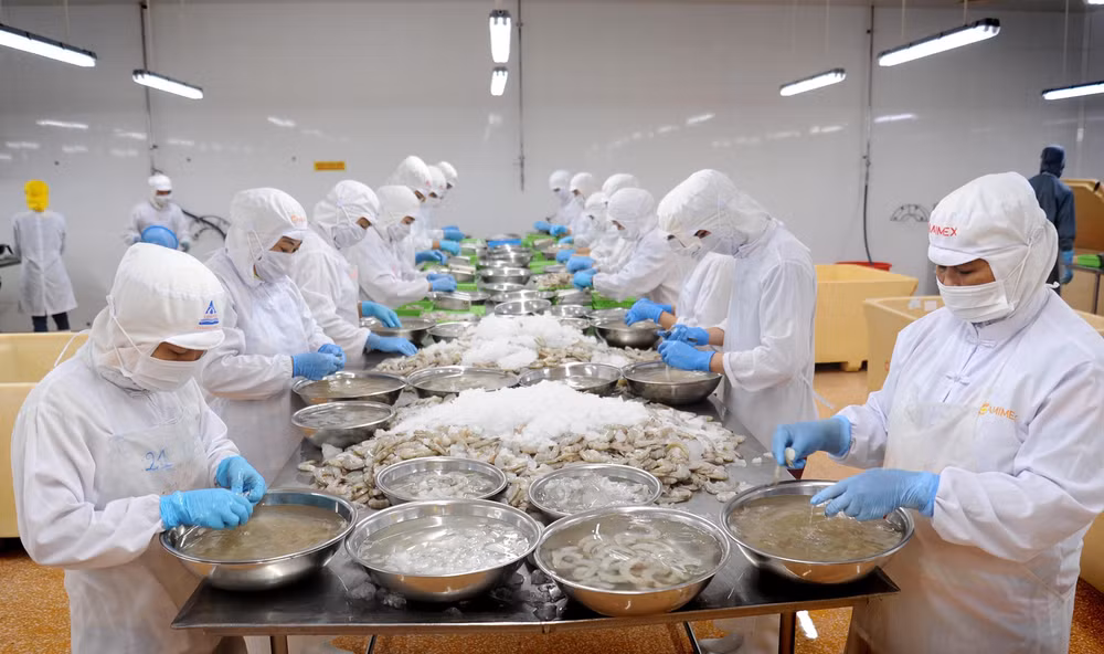 Aquatic product exports to US surge ảnh 1