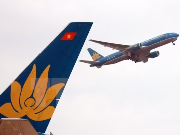 Vietnam hasn’t considered suspension on flights to France ảnh 1