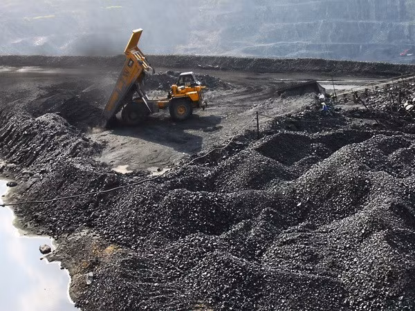  Vietnam expands coal imports ảnh 1