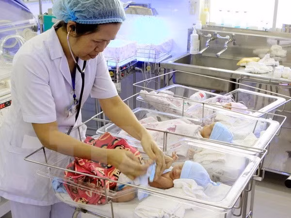 Financing model boosts healthcare service quality ảnh 1