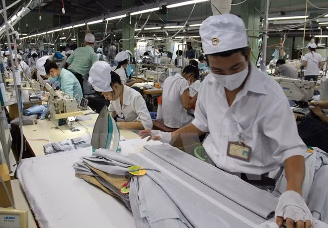 Opportunities, challenges brought about by Vietnam-EU FTA examined ảnh 1