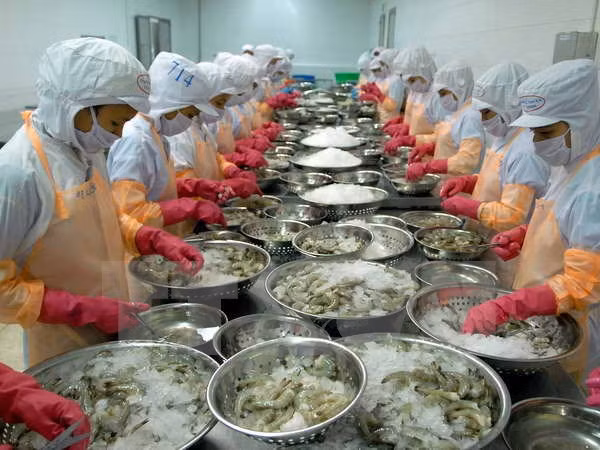 Binh Thuan evolves as investment hotspot in south-central ảnh 1