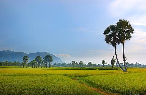 Tourists to An Giang surge in nine months ảnh 1 Tourists to An Giang surge in nine months ảnh 1