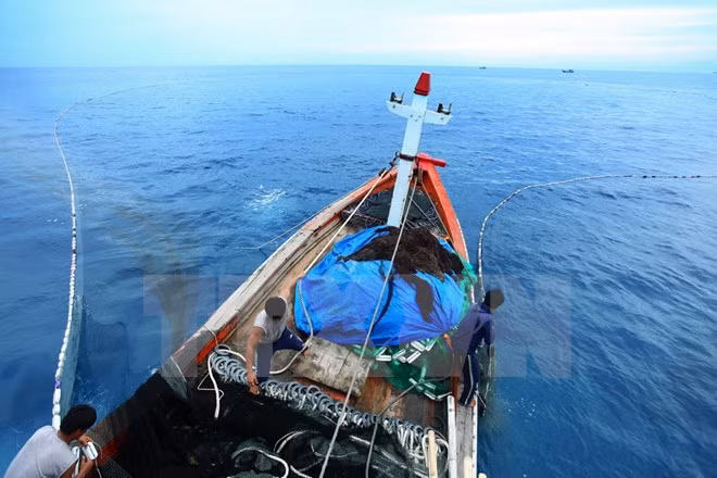 Vietnam, China agree to boost cooperation in maritime issues ảnh 1