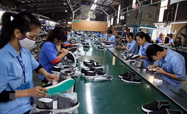 Leather, footwear exports predicted to recover in Q4 ảnh 1