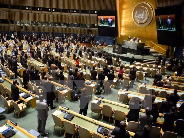 Vietnam shares experience in ensuring indigenous peoples’ rights ảnh 1