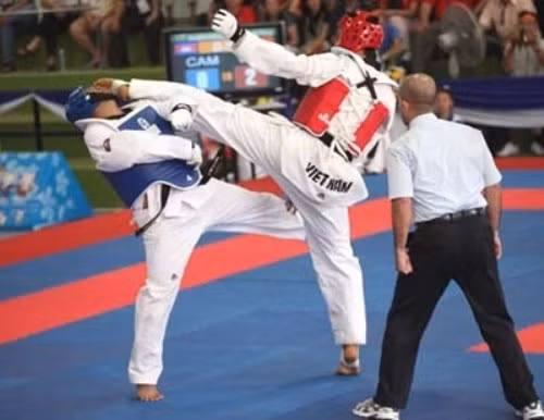 Vietnamese earn four golds at int’l taekwondo champs ảnh 1