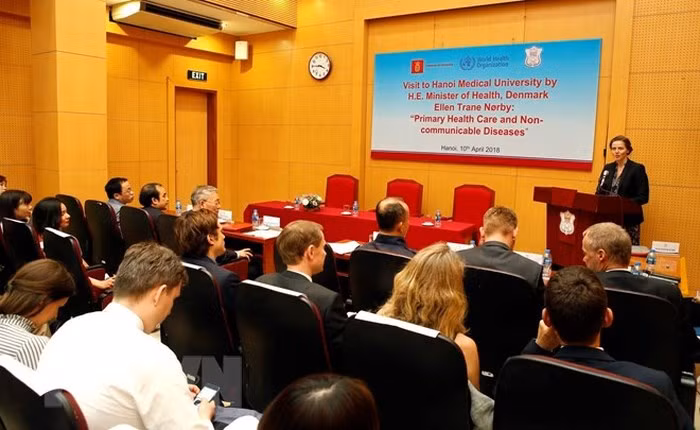 Vietnam – Denmark conference discuss chronic diseases prevention ảnh 1