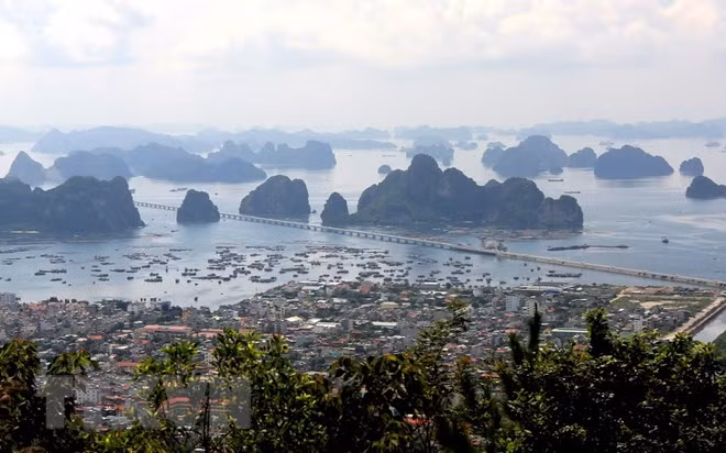 Quang Ninh moves to attract more visitors ảnh 1 Quang Ninh moves to attract more visitors ảnh 1
