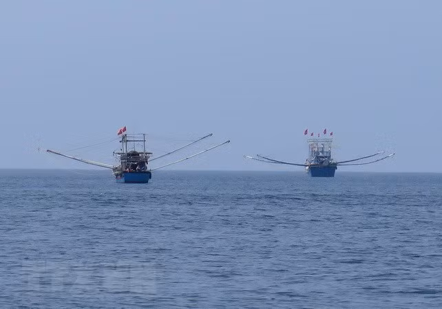 Quang Tri joins national efforts to combat illegal fishing ảnh 1