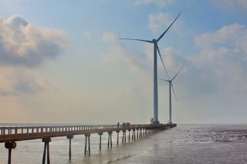 Soc Trang province attracts clean energy investors ảnh 1