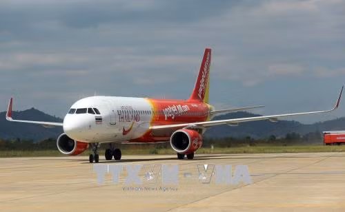 Seven flights cancelled due to bird strike during holiday ảnh 1