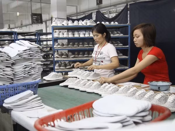 Vietnam remains world’s second largest shoe exporter ảnh 1