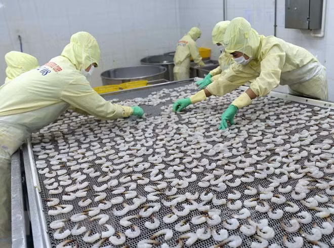Minister urges fisheries development to base on three pillars ảnh 1