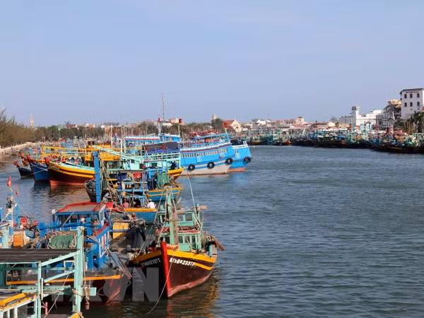 Ca Mau: boats violating foreign waters to be banned from operating ảnh 1