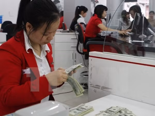 Remittance to HCM City increases to 1.12 billion USD ảnh 1 Remittance to HCM City increases to 1.12 billion USD ảnh 1