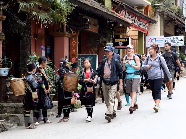 Late visa policy announcement challenges tourism ảnh 1