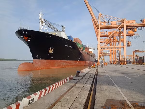 Hai Phong port welcomes largest ever container ship ảnh 1