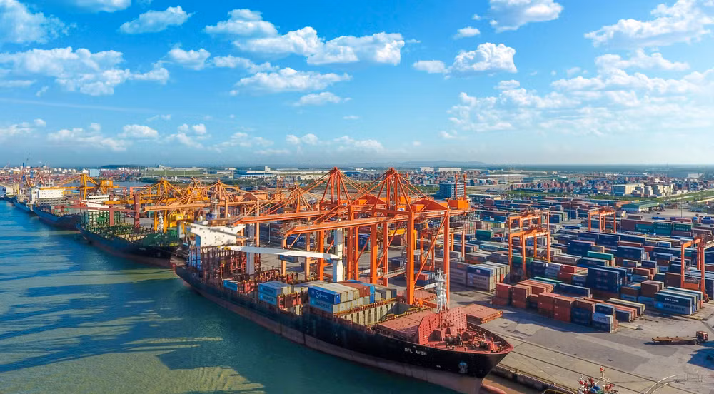 Logistics firms asked to strengthen connectivity ảnh 1 Logistics firms asked to strengthen connectivity ảnh 1