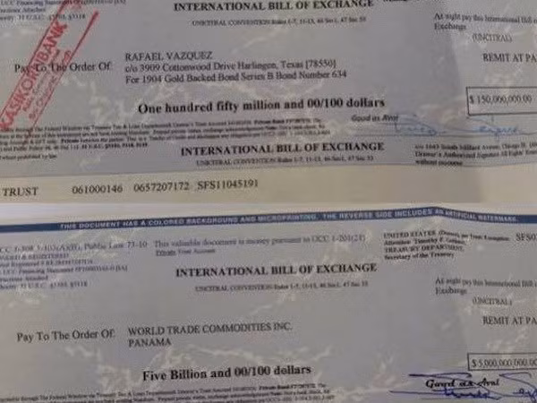 Vietnam to hand over dossiers on swindling suspect to FBI ảnh 1