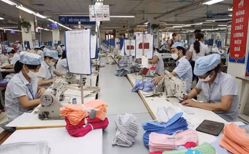 Garment sector needs manpower development strategies: workshop ảnh 1 Garment sector needs manpower development strategies: workshop ảnh 1