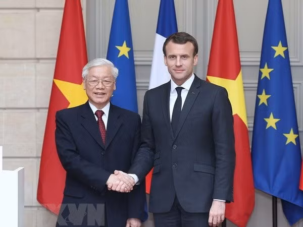 Huge opportunities for expanded Vietnam-France relations: experts ảnh 1
