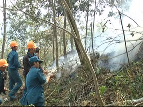 Tay Ninh rolls out drastic solutions to forest fires ảnh 1