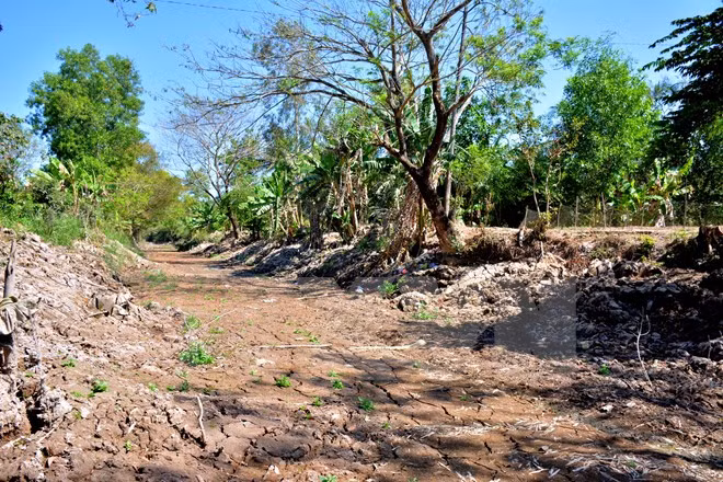 Drought, saline encroachment continue in Central, South ảnh 1