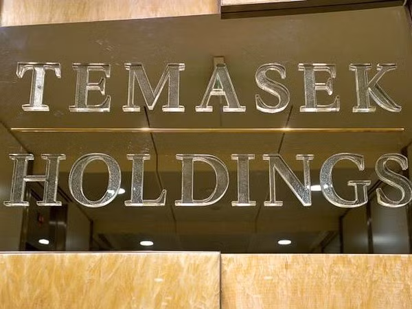 Temasek to eye finance, hi-tech, healthcare partnerships ảnh 1