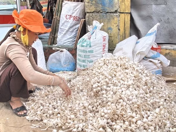 VN promotes inclusive growth for the sake of women ảnh 1 VN promotes inclusive growth for the sake of women ảnh 1