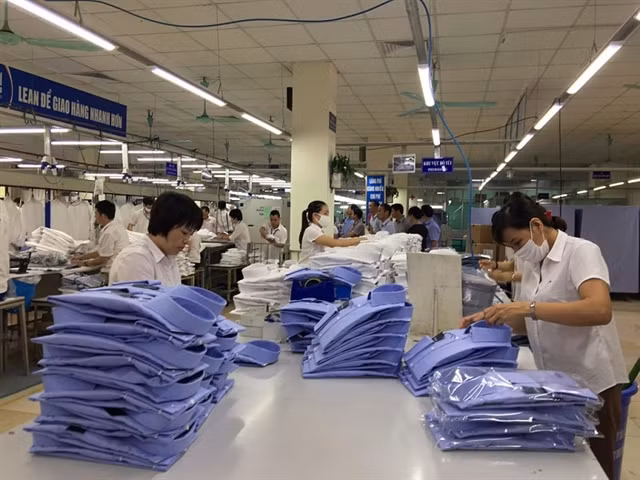 Textile-garment exports to continue declining ảnh 1