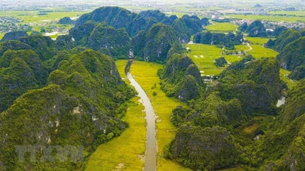 Joining hands for a ‘green future' ảnh 1