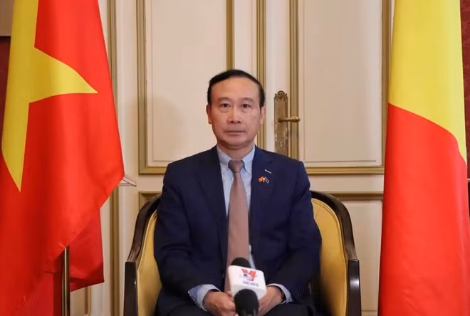 FM’s trip to promote Vietnam’s ties with EU, Belgium: Ambassador ảnh 1