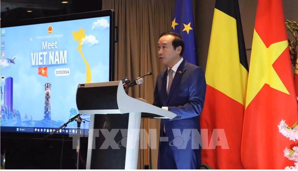 Measures sought to promote Vietnam-Belgium cooperation ảnh 1