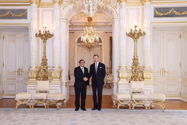 PM meets Grand Duke of Luxembourg ảnh 1