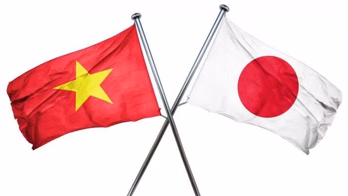 Vietnamese apprentices win prizes at Japanese eloquent contest ảnh 1